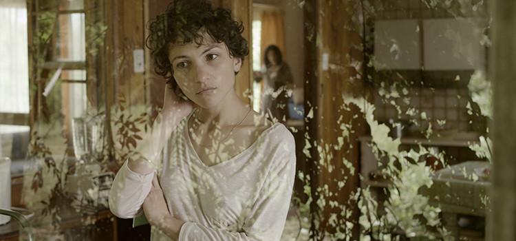 Imagen: El árbol magnético, de Isabel Ayguavives