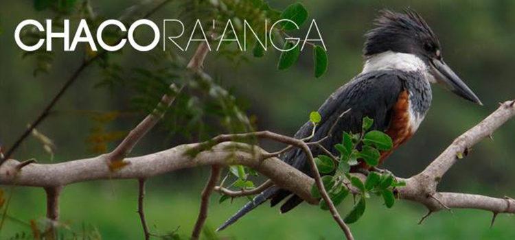 Chaco Ra´anga