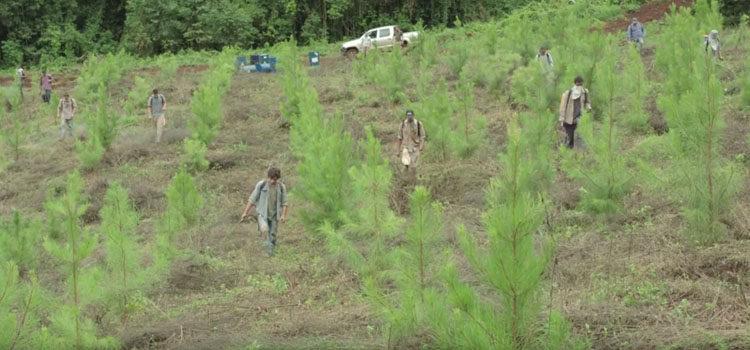 Chaco Ra´anga: ciclo de cine