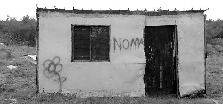 Festival Internacional CineMigrante Pablo Pinedo filme Noma