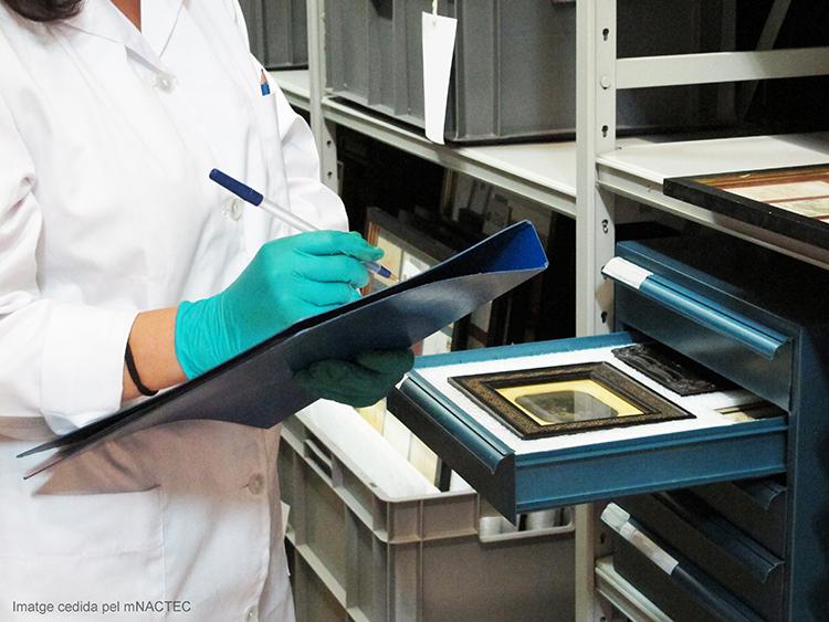 registro y catalogacion_